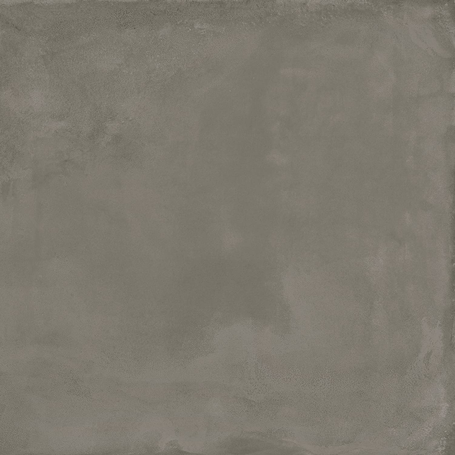 Locus Gris