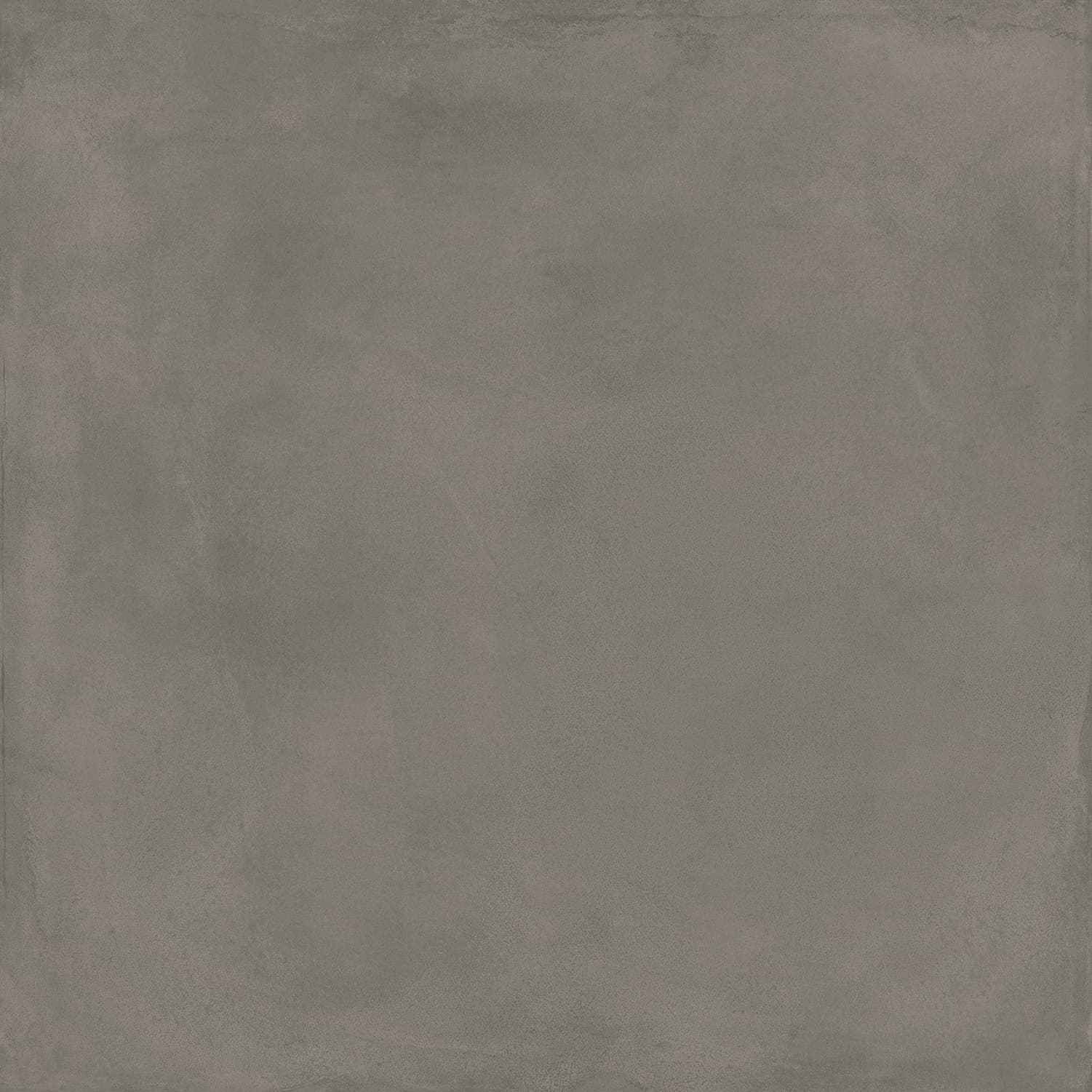 Locus Gris