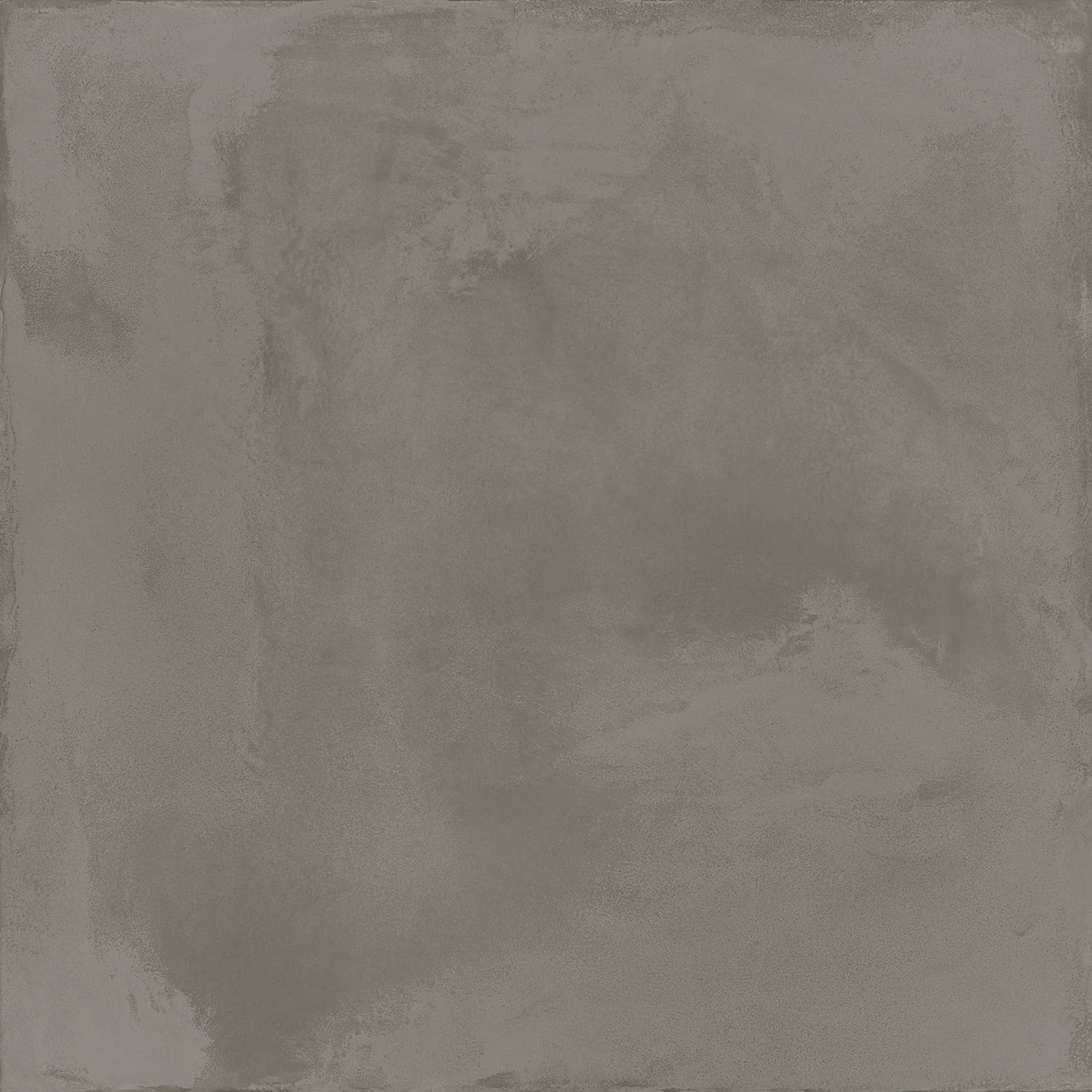Locus Gris