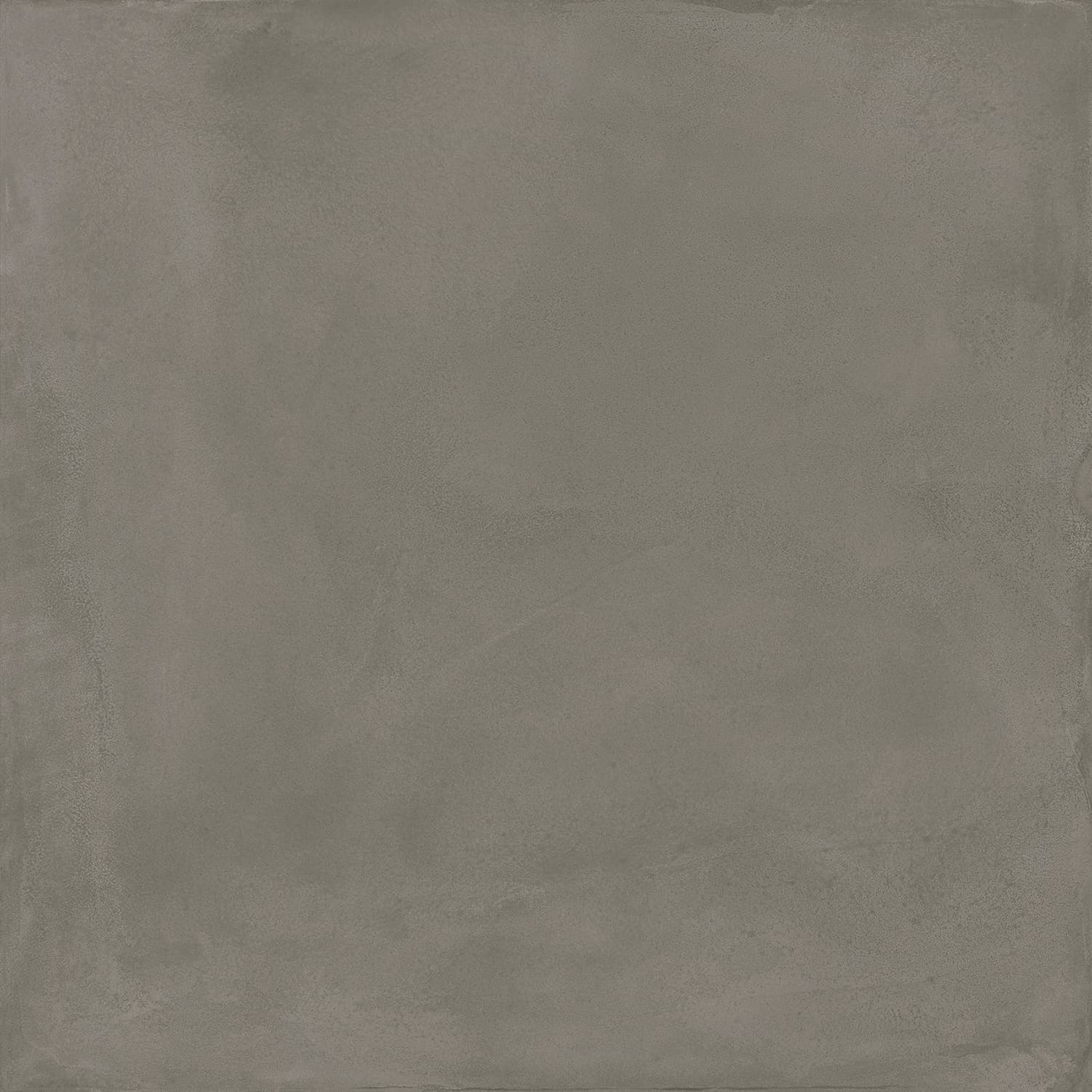 Locus Gris