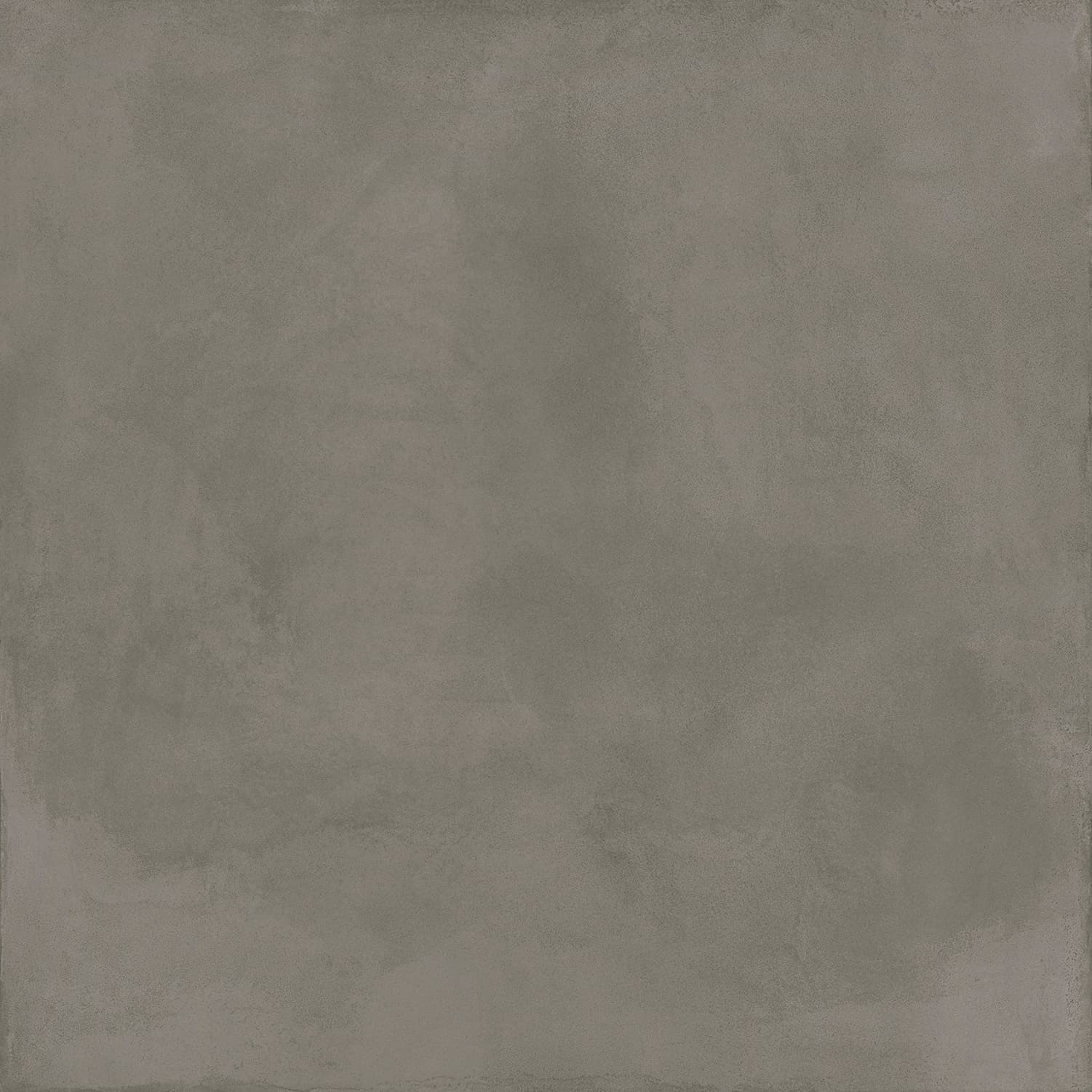 Locus Gris