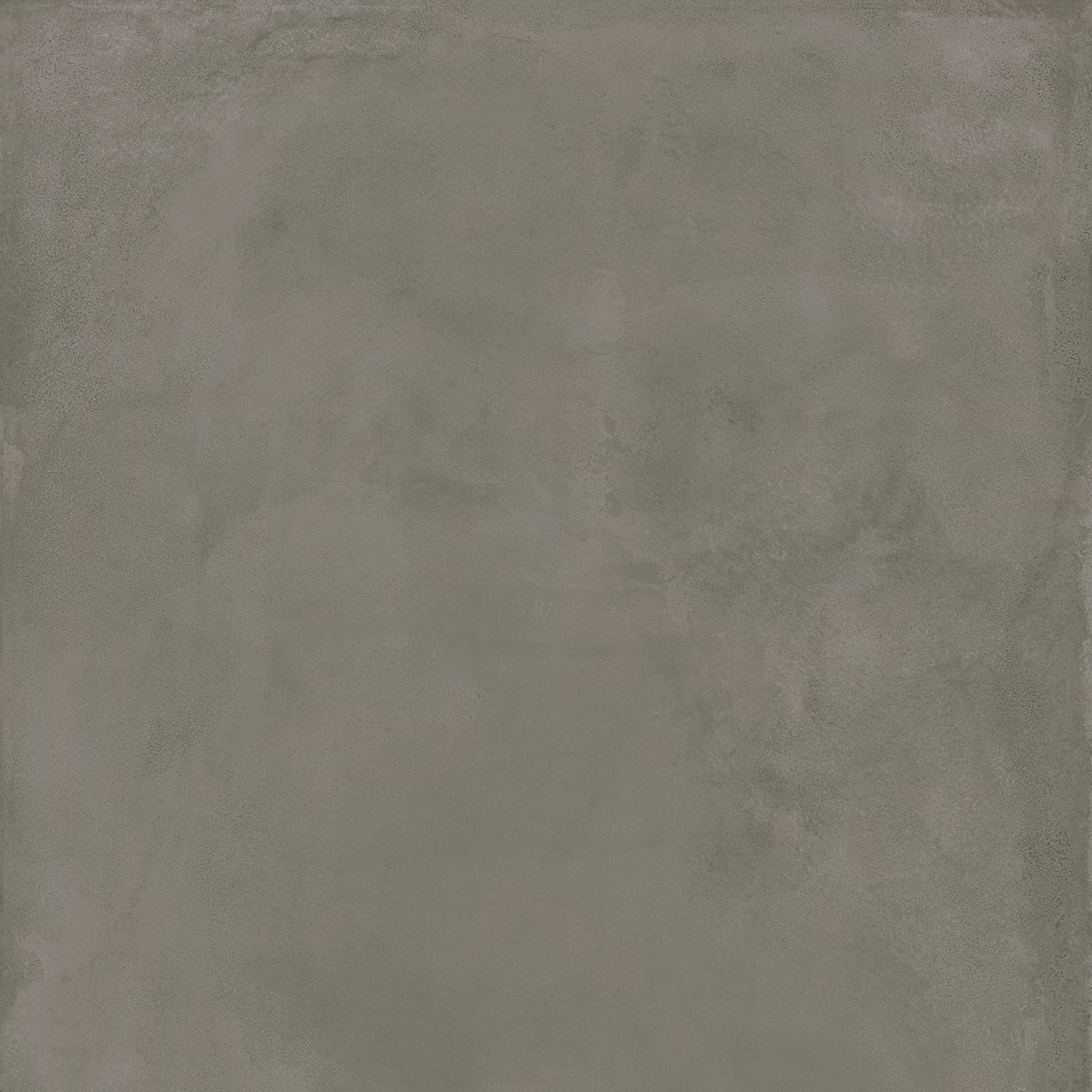 Locus Gris