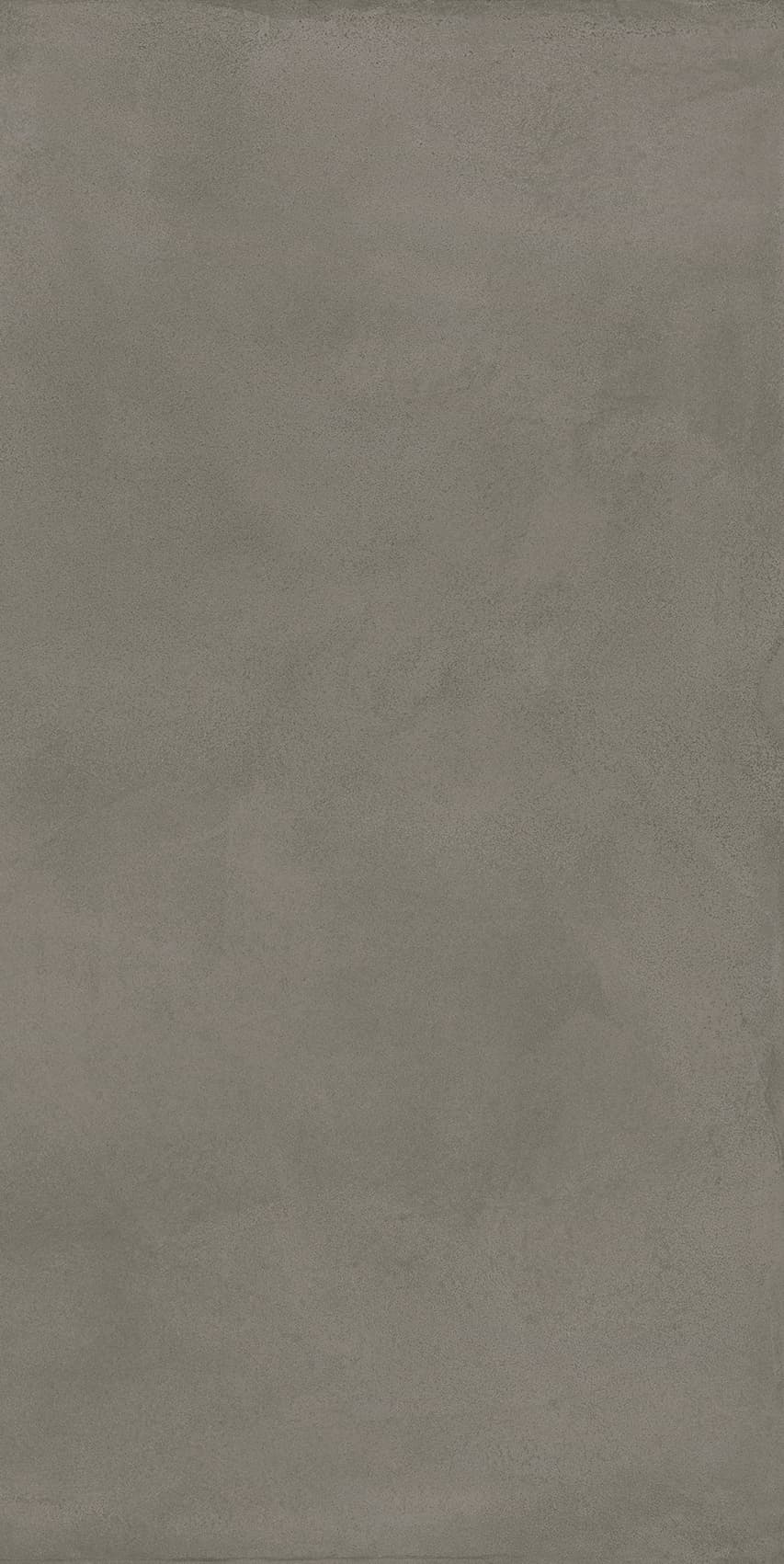 Locus Gris