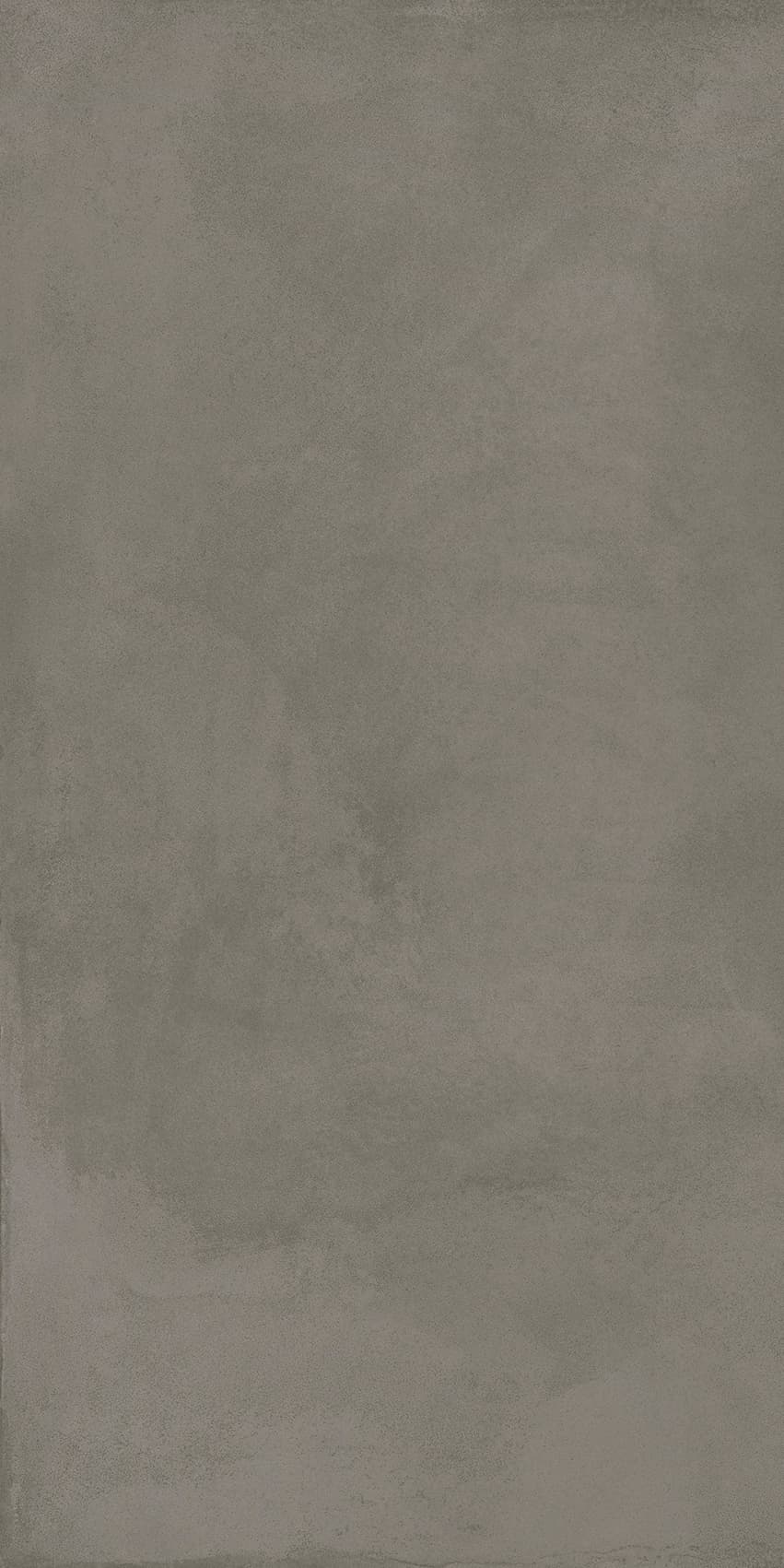 Locus Gris