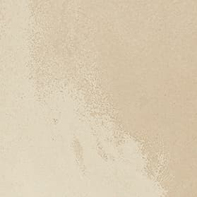 Locus Bone