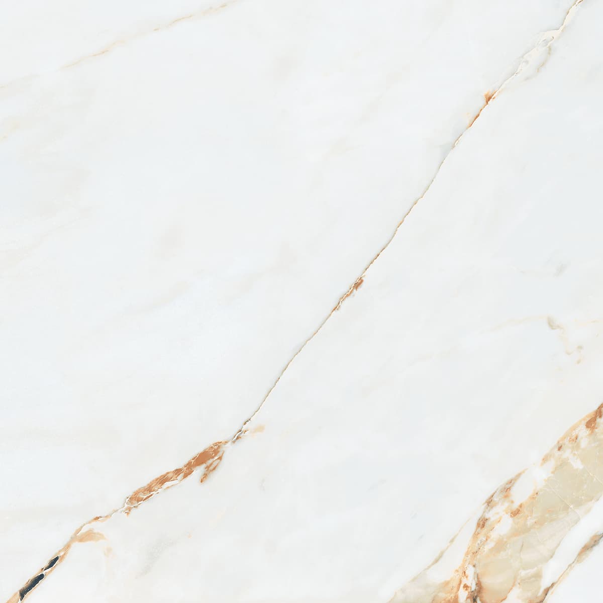 Calacatta Oro